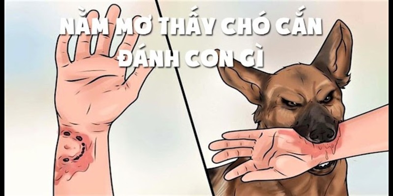 Nằm mơ bị chó cắn vào tay thì đánh con gì? Nằm mơ bị chó cắn vào tay thì đánh con gì?