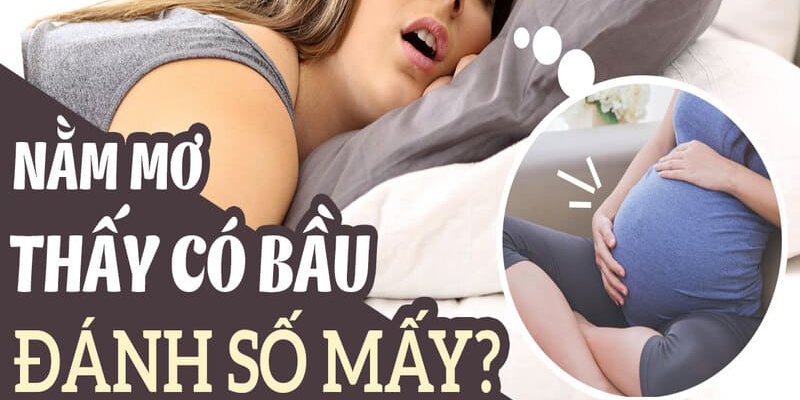 Nằm mơ có bầu điềm gì? Giải mã từng giấc mơ Nằm mơ có bầu điềm gì? Giải mã từng giấc mơ