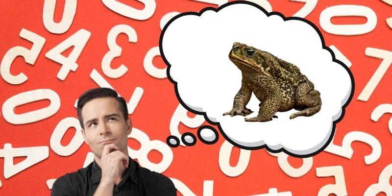 Nằm mơ thấy cóc đánh số gì Nằm mơ thấy cóc đánh số gì